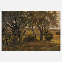 A. Weilbrenner, Sommerlandschaft111