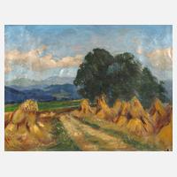 Sommer im Gebirge111