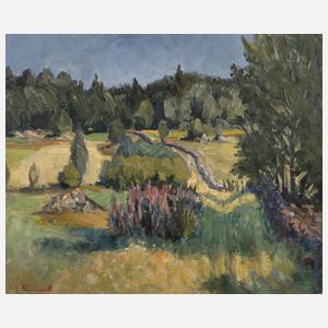 ”Hochsommer auf der Weide”