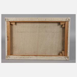 ”Panorama mit Margareteninsel in Budapest”