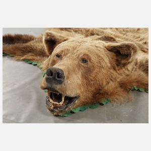 Fell eines Braunbären