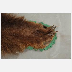 Fell eines Braunbären