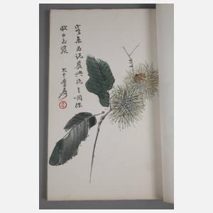 Mappe mit chinesischen Holzschnitten