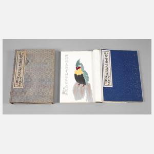 Mappe mit chinesischen Holzschnitten