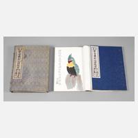 Mappe mit chinesischen Holzschnitten111