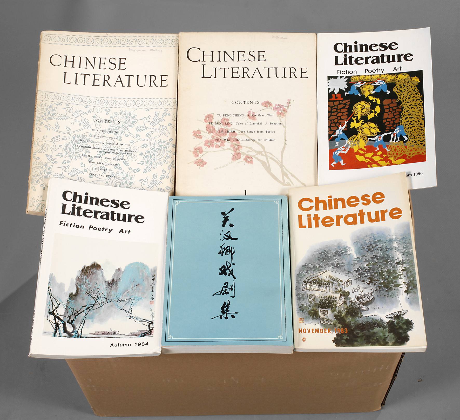 Konvolut chinesische Literatur