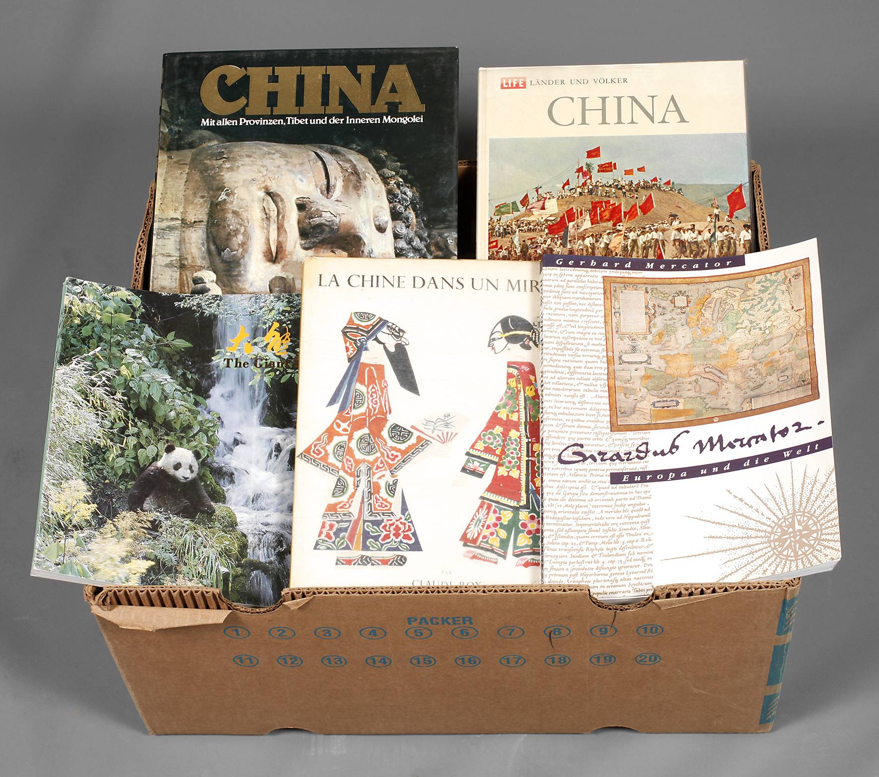 Konvolut Fachliteratur über China