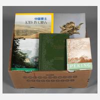 Konvolut Kulturgeschichte Ostasien111