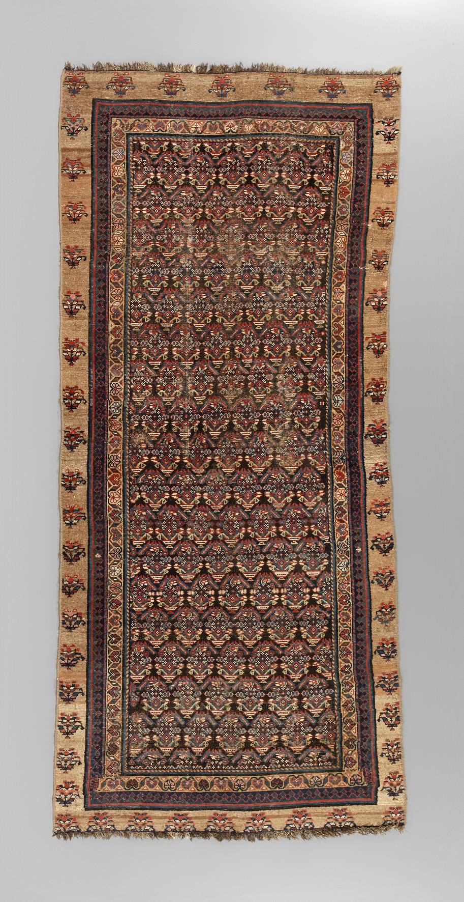 Serab Galerie Fragment