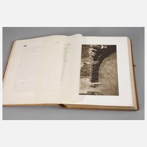 Prachtausgabe Viribus Unitis