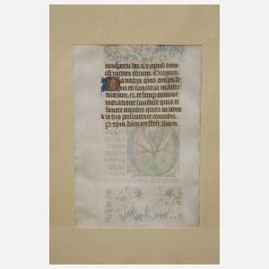 Blatt Pergament einer kirchlichen Handschrift