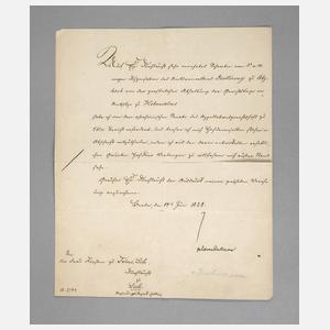 Brief an die Fürstin zu Solms-Lich