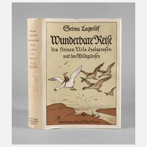 Kinderroman Nils Holgersson