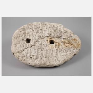 Brunnenmaske Oceanus