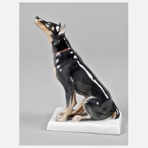 Meissen ”Dobermann”