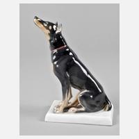 Meissen ”Dobermann”111