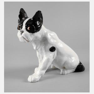 Bernhard Bloch französische Bulldogge