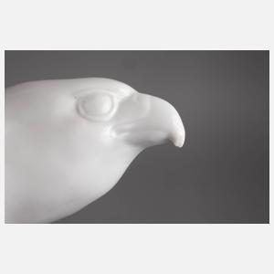 Fraureuth ”Edelfalke”