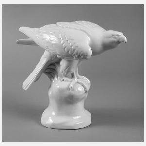 Fraureuth ”Edelfalke”