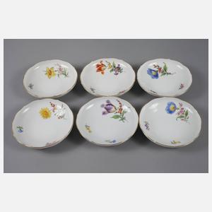 Meissen Restservice Blumenmalerei