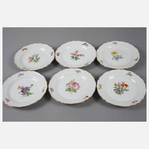 Meissen Restservice Blumenmalerei