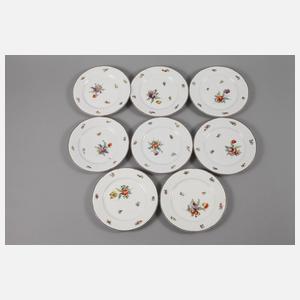 Nymphenburg Kaffee-/Teeservice Blumenmalerei