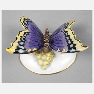 Rosenthal Schmetterling