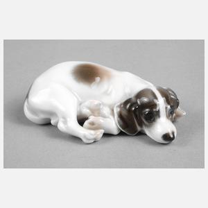 Rosenthal Miniatur Terrier