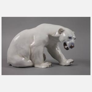 Kopenhagen großes Konvolut Eisbären