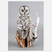 Franklin Mint ”The great grey owl”111