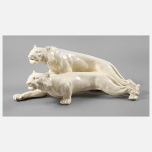 Schäfer & Vater Rudolstadt Tigergruppe