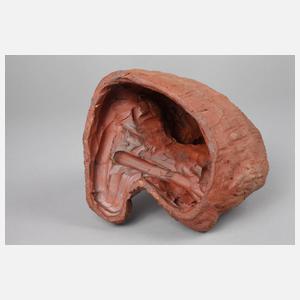 Anny Beck, Orang-Utan