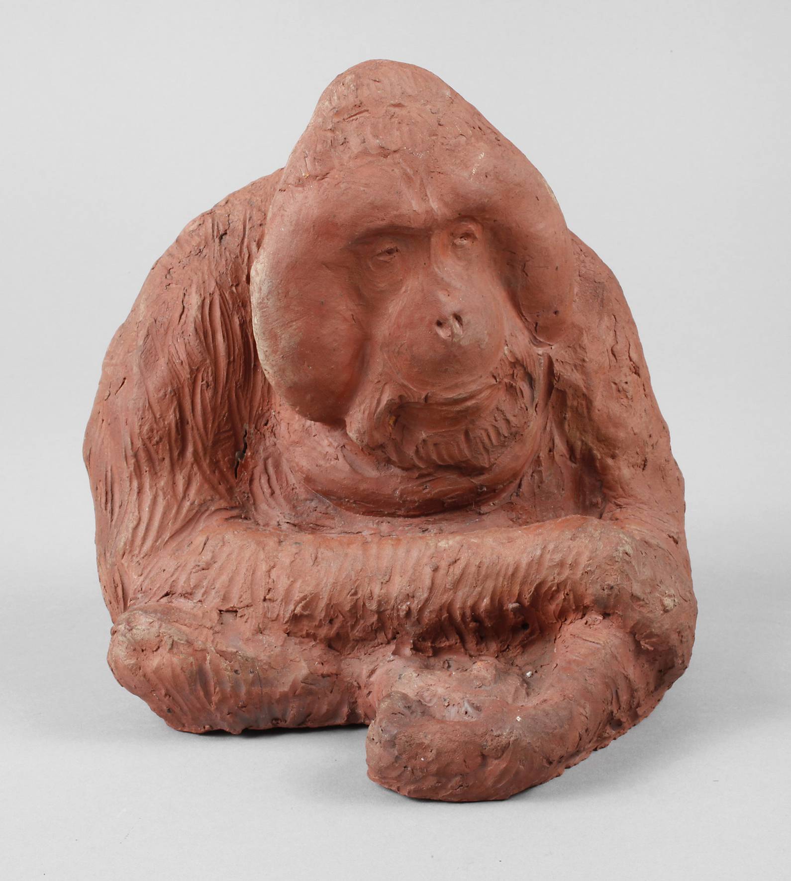 Anny Beck, Orang-Utan