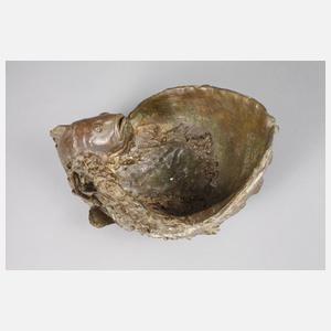 Paola Crema, Muschelschale