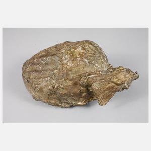 Paola Crema, Muschelschale