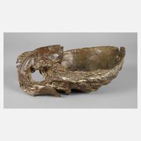 Paola Crema, Muschelschale111