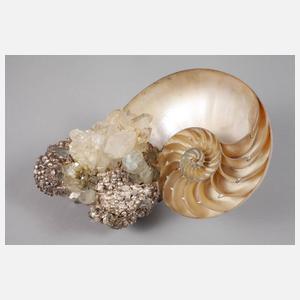 Paola Crema, Wunderkammerobjekt