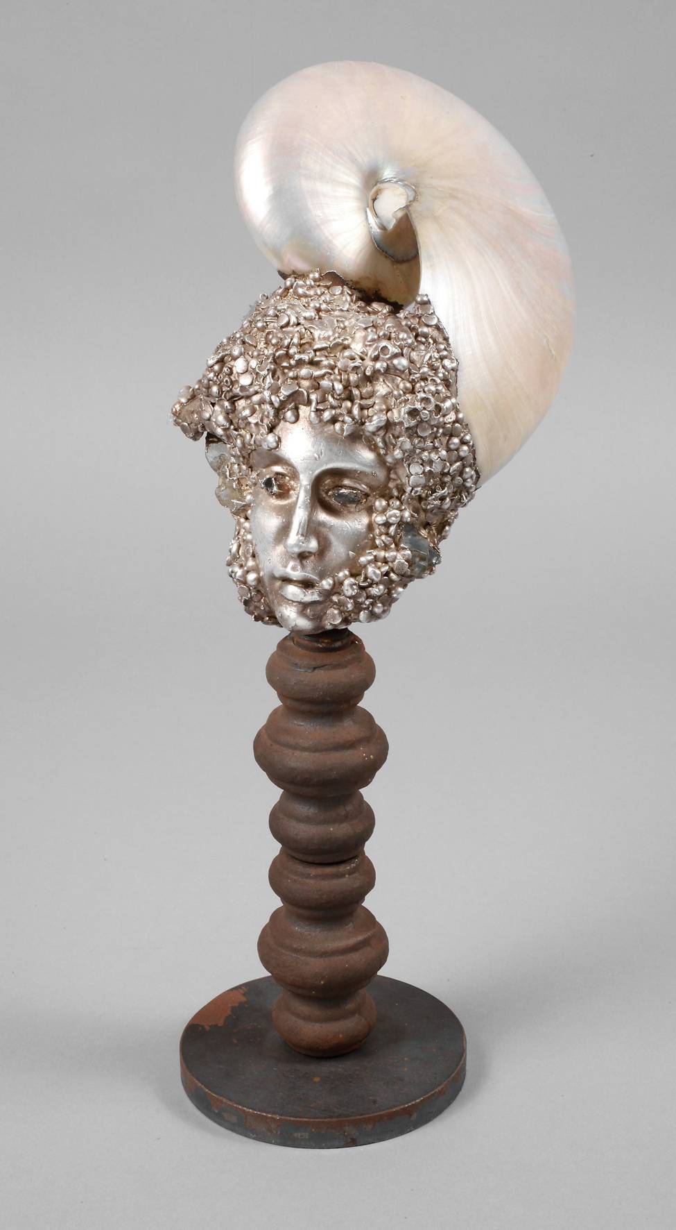 Paola Crema, Wunderkammerobjekt