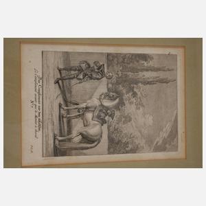 Johann Elias Ridinger, Konvolut Pferdedarstellungen