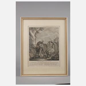 Martin Elias Ridinger, ”Der wilde Büffel und das Crocodil”