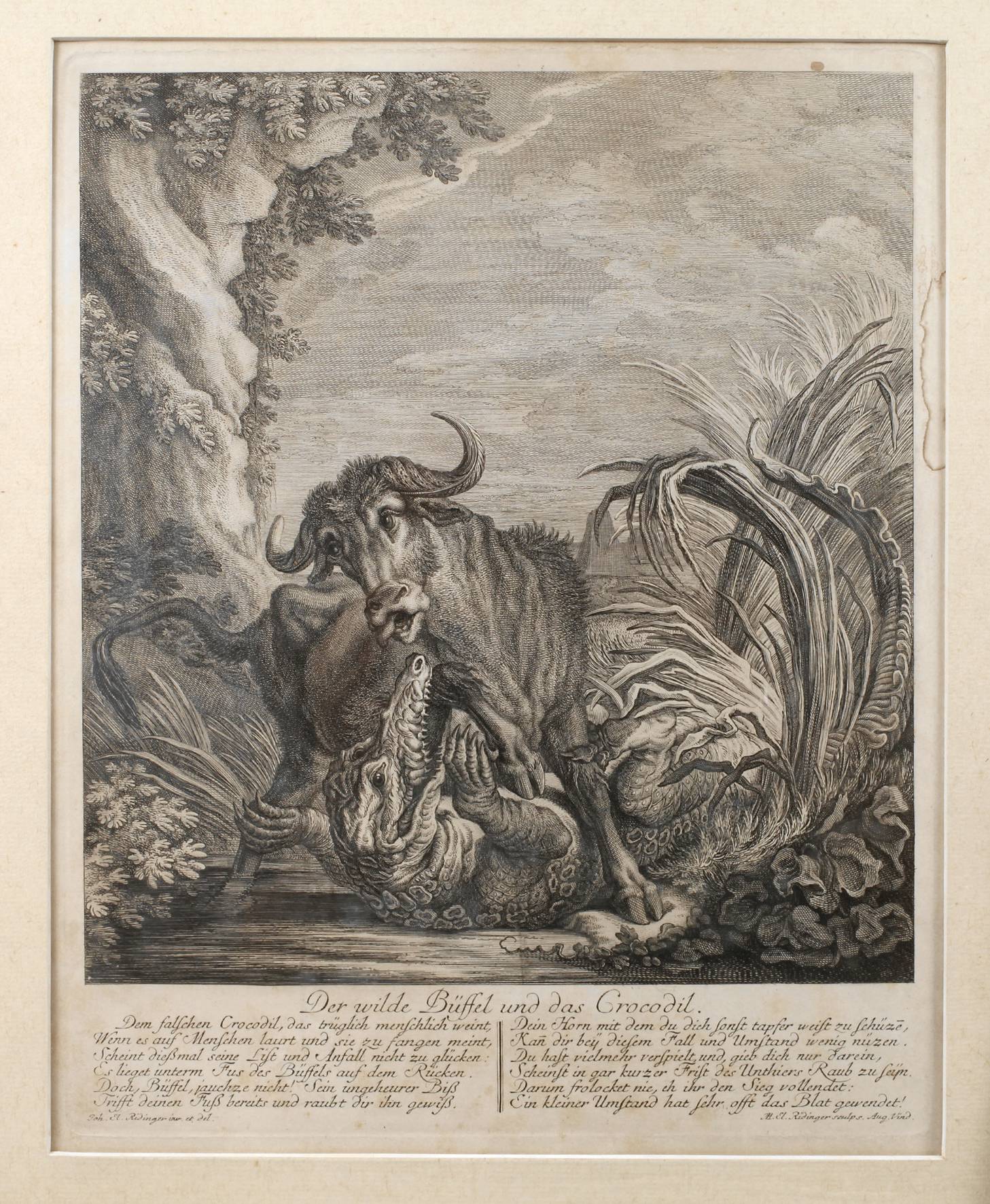 Martin Elias Ridinger, ”Der wilde Büffel und das Crocodil”