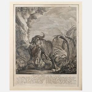 Martin Elias Ridinger, ”Der wilde Büffel und das Crocodil”