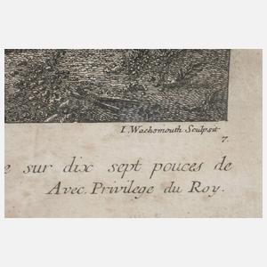 Jeremias Wachsmuth, Der Taubenschlag