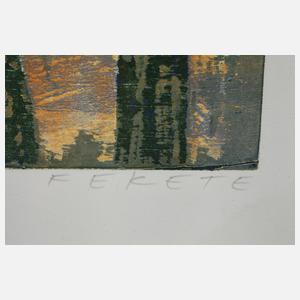 Esteban Fekete, Die blaue Stadt