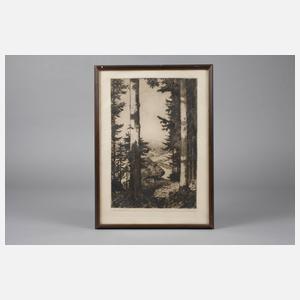 Alfred Frank, ”Zwischen Tannen”