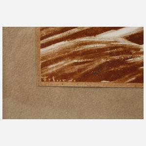 Prof. Hugo Höppener alias ”Fidus”, ”Lichtgebet”