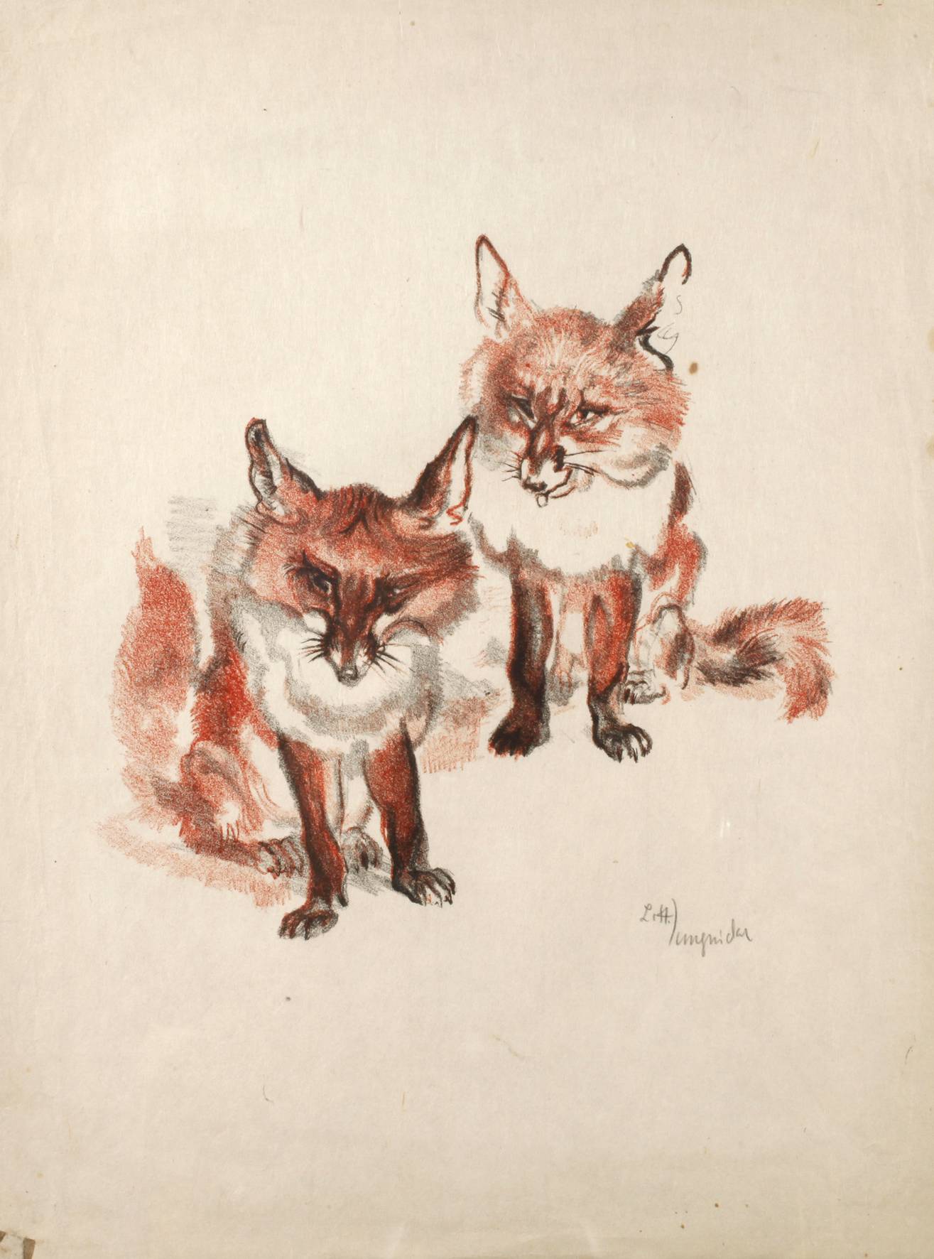 Ludwig Heinrich Jungnickel, ”Unsere Füchse”