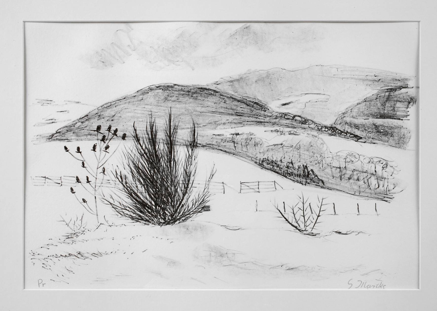 Prof. Gerhard Marcks, ”Der Ginsterbusch”