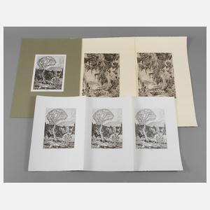 Prof. Ferdinand Staeger Konvolut Radierungen