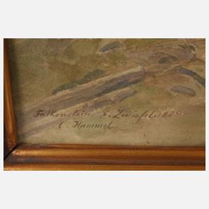 Prof. Carl Hummel, ”Falkenstein bei Zwiesel”